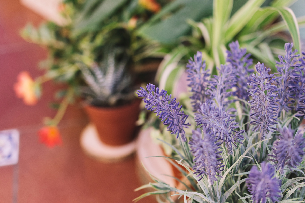 Reprodução/Freepik