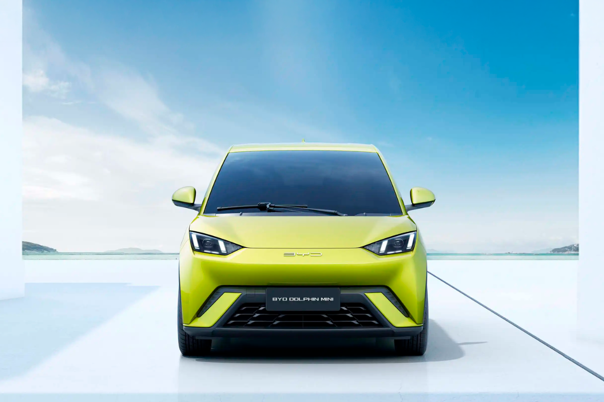 Reprodução BYD