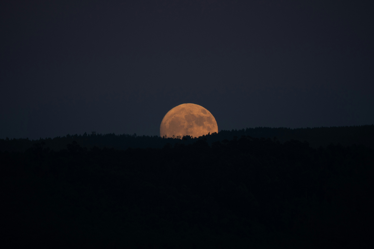 Reprodução/ Unsplash