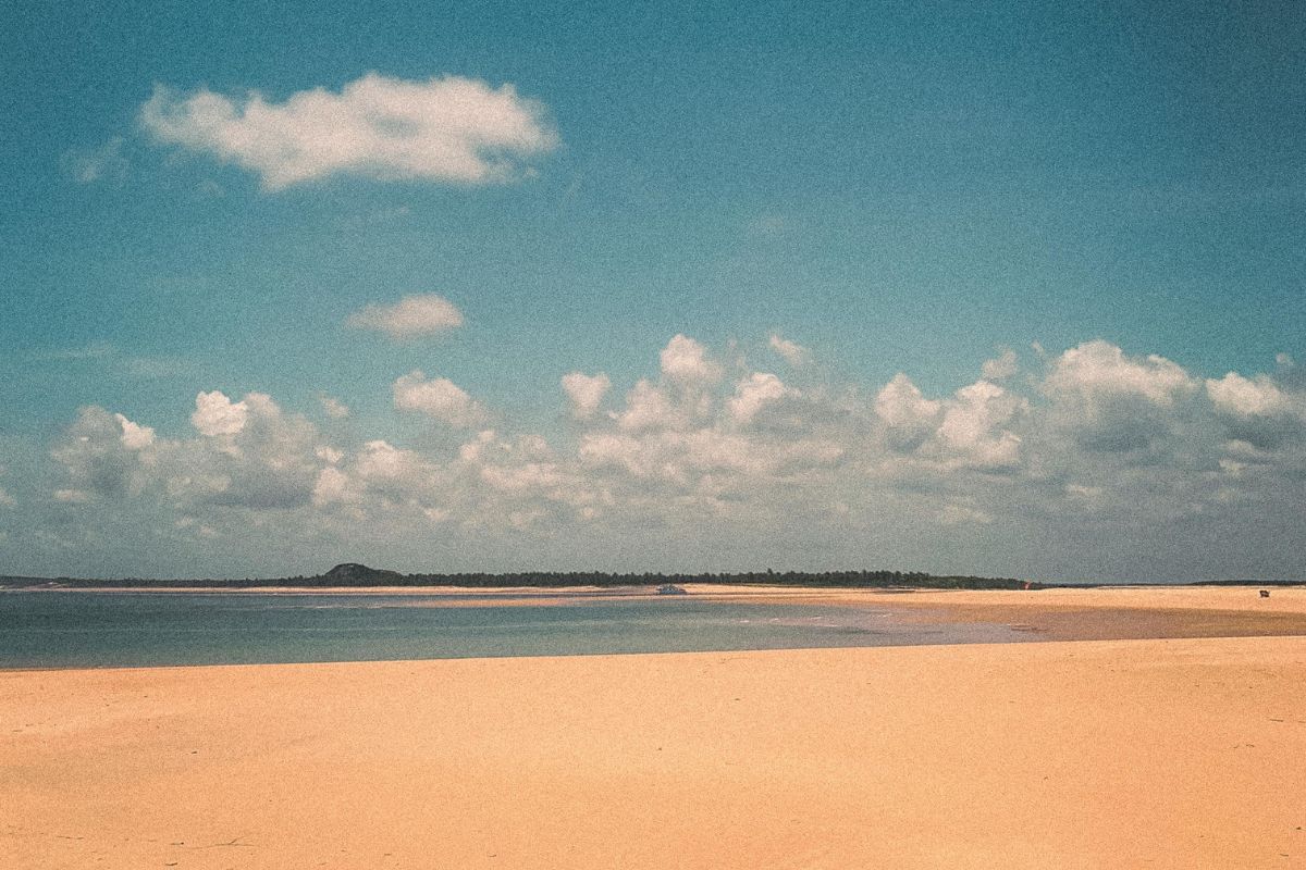 Reprodução/Pexels