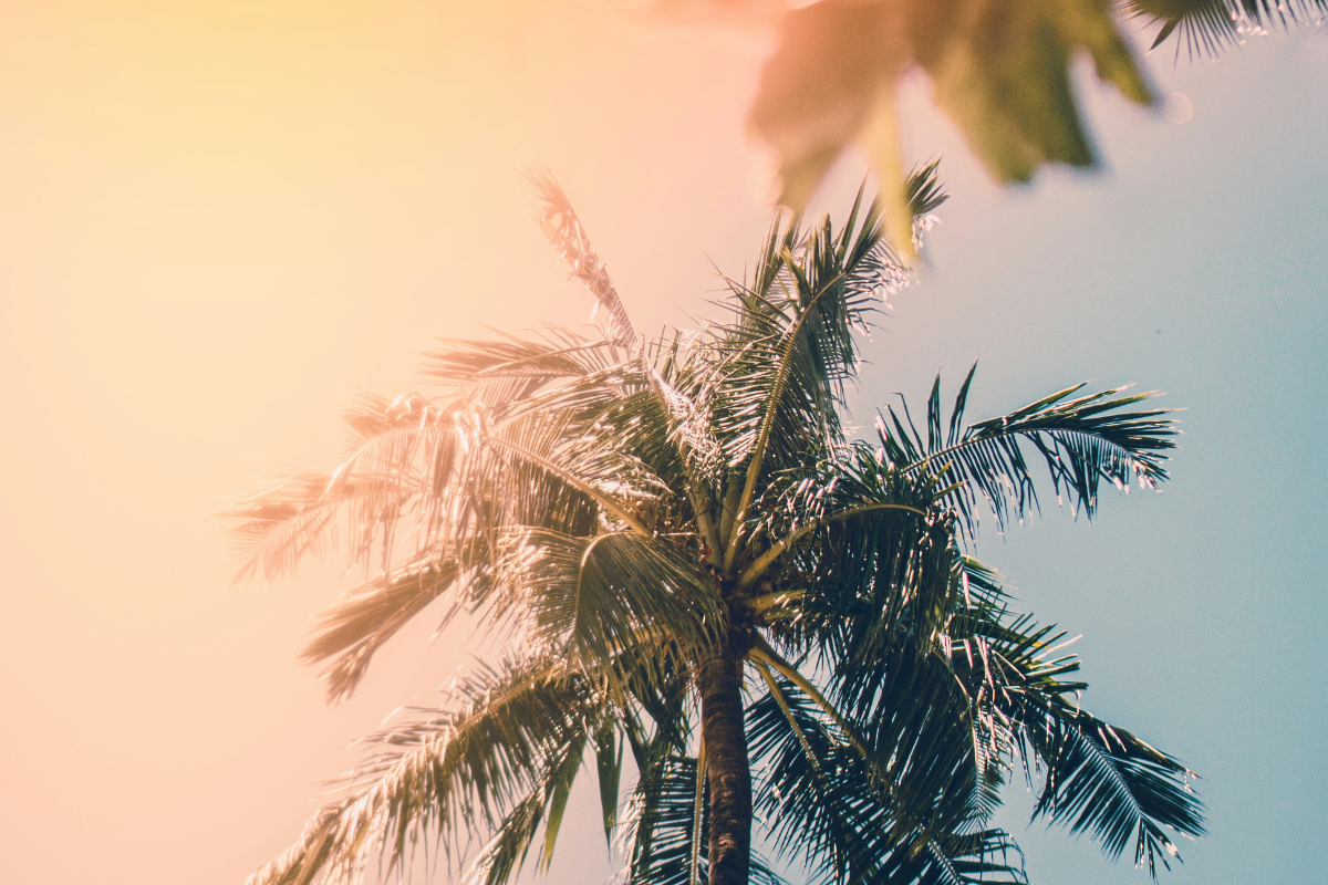 Foto: Unsplash