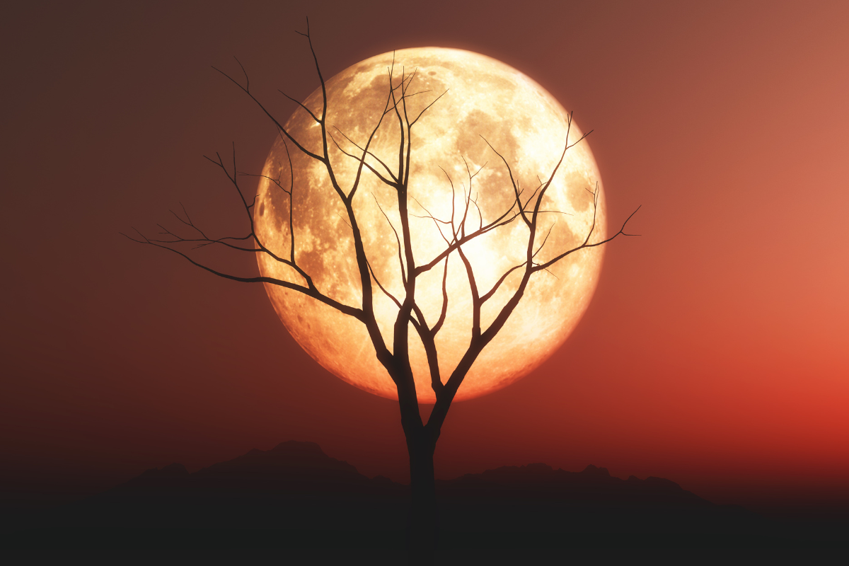 Reprodução/Freepik