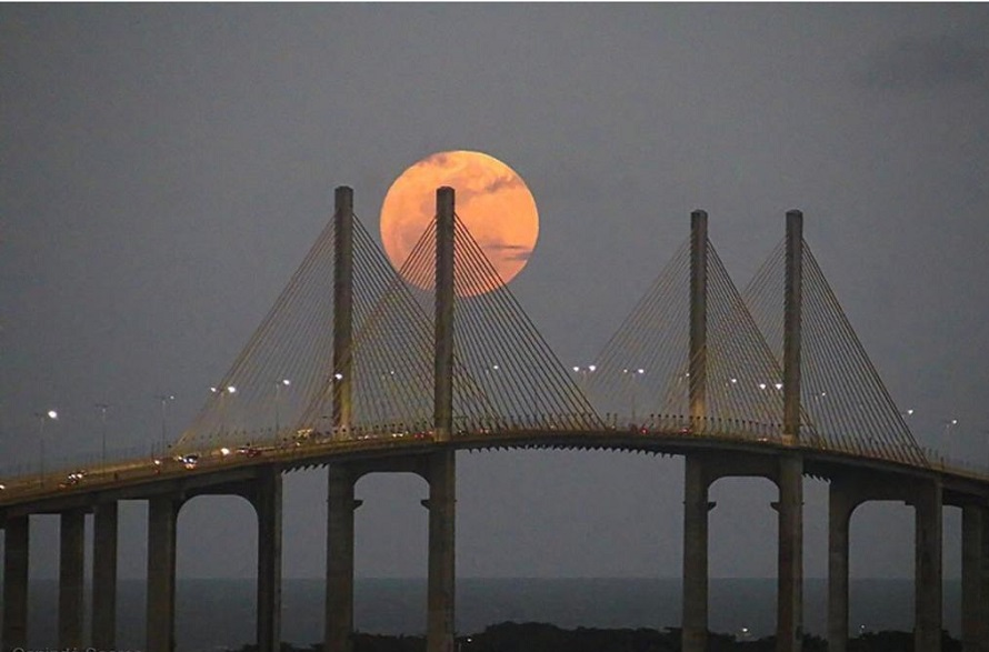 Reprodução/Freepik