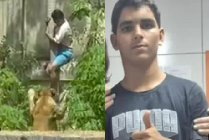A morte do jovem expôs, mais uma vez, a urgência de políticas voltadas ao cuidado psicológico, especialmente entre adolescentes em situação de vulnerabilidade. Imagem reprodução internet.