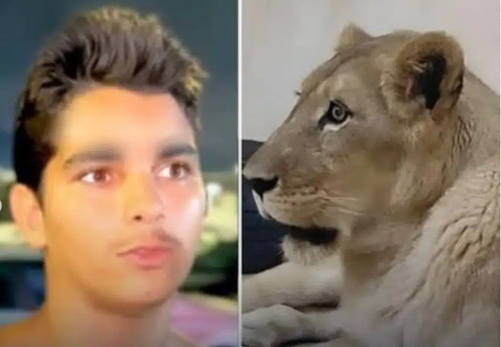 A vítima, Gerson de Melo Machado de 19 anos, morreu em decorrência dos ferimentos provocados pela leoa. O rapaz tinha histórico de transtornos mentais e era acompanhado pelo Conselho Tutelar e Caps da cidade; também com várias passagens pela polícia. Imagem internet.