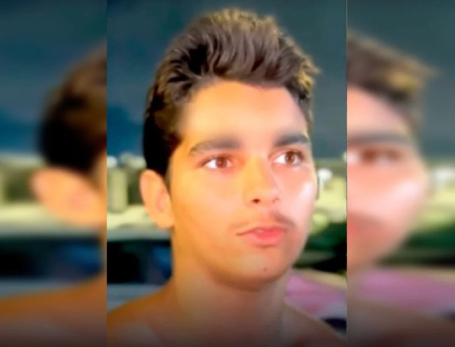 O jovem também compartilhou seus sonhos profissionais, demonstrando interesse por áreas ligadas à proteção e ao cuidado com a natureza. Imagem: reprodução internet.