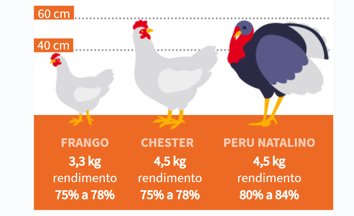 O crescimento acelerado é resultado exclusivo de genética e nutrição balanceada.