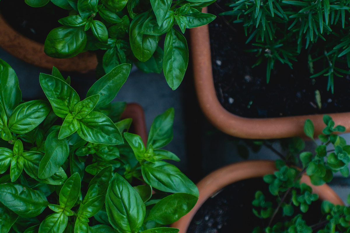 Foto: Unsplash