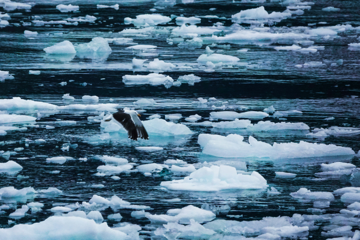 Foto: Unsplash