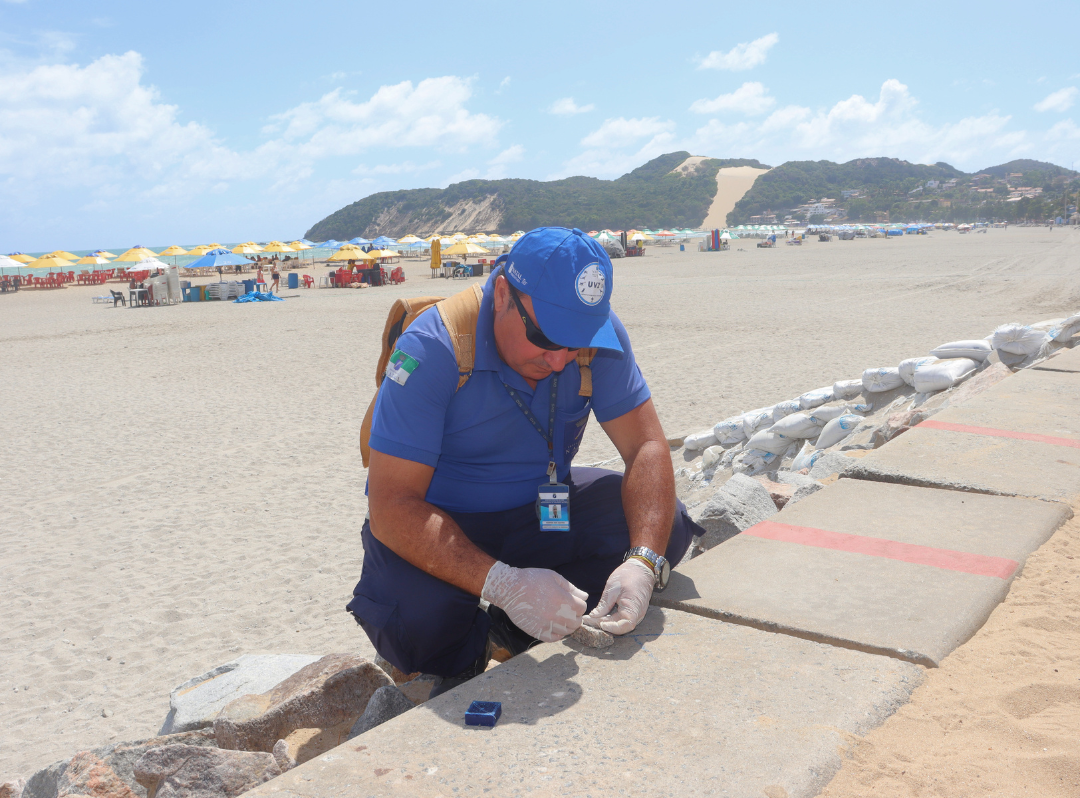 Iscas não oferecem risco para humanos ou outros animais. Foto: Divulgação/Prefeitura do Natal