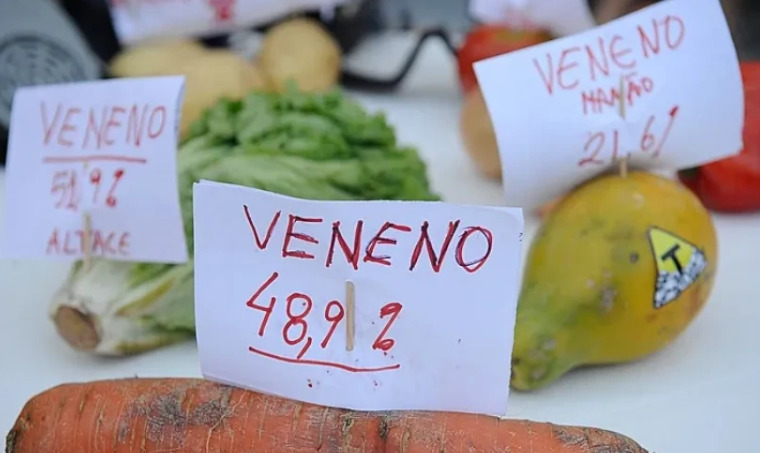 A presença de agrotóxicos nos alimentos, especialmente quando há uso inadequado ou resíduos acima dos limites permitidos, está associada a riscos graves para a saúde.