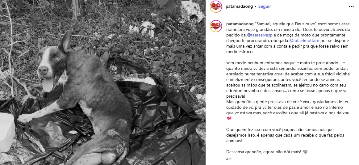Reprodução: Redes Sociais