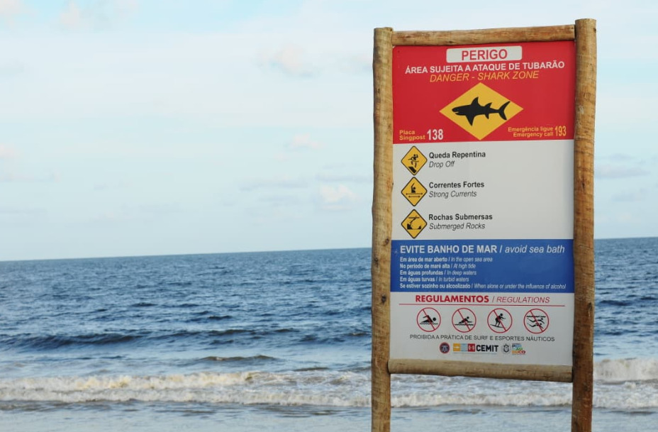 A Praia Del Chifre integra uma faixa do litoral entre Olinda e Recife que é monitorada há décadas pelo Comitê Estadual de Monitoramento de Incidentes com Tubarão (Cemit).
