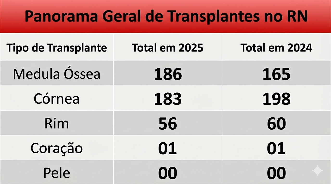 Números de transplantes realizados no RN nos últimos dois anos. Foto: gerada por Inteligência Artificial