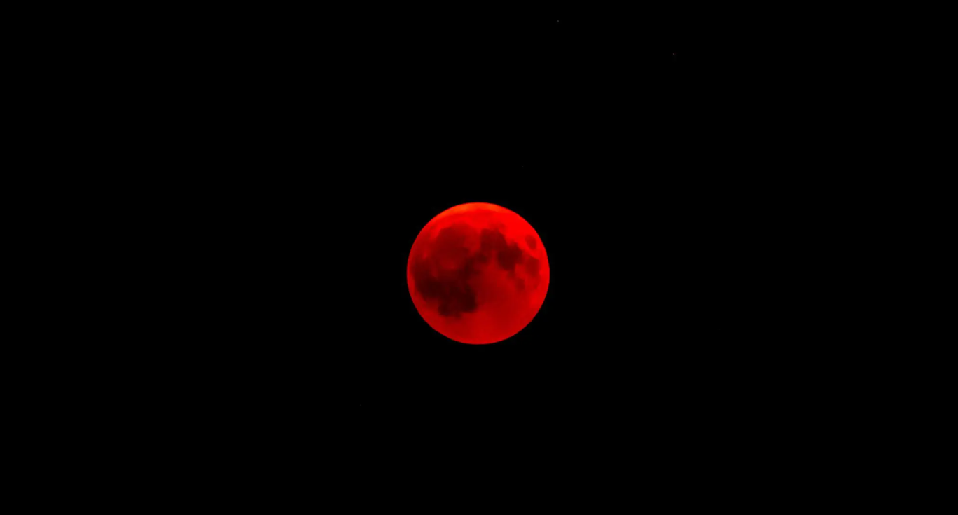 Foto: Reprodução/Unsplash