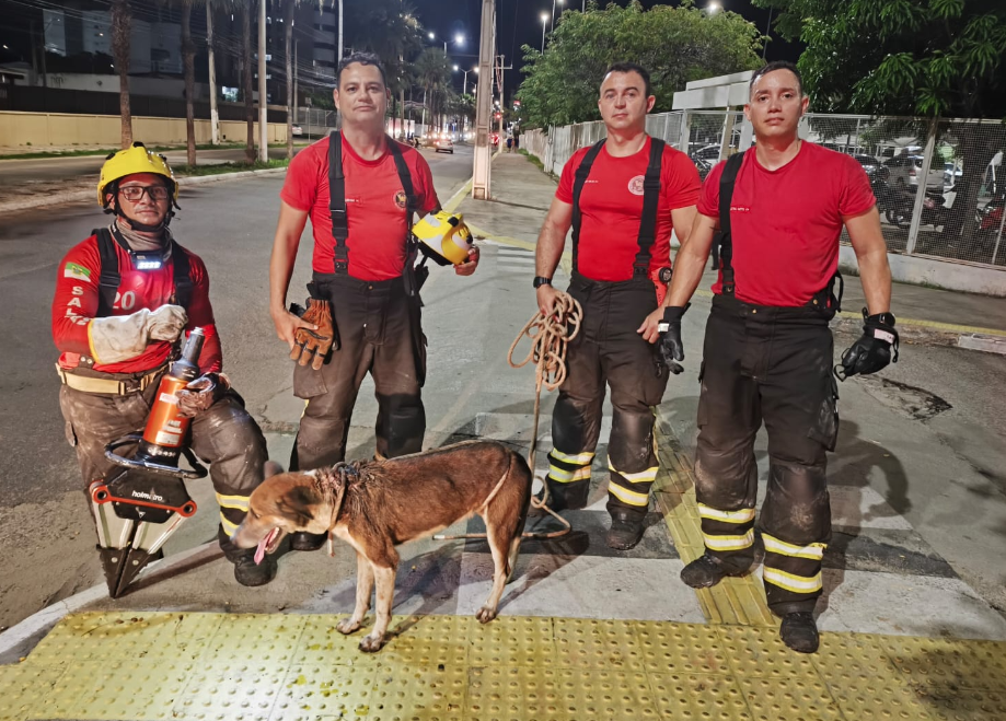 Bombeiros que realizaram o resgate do cachorro. Foto: Divulgação/CBMRN