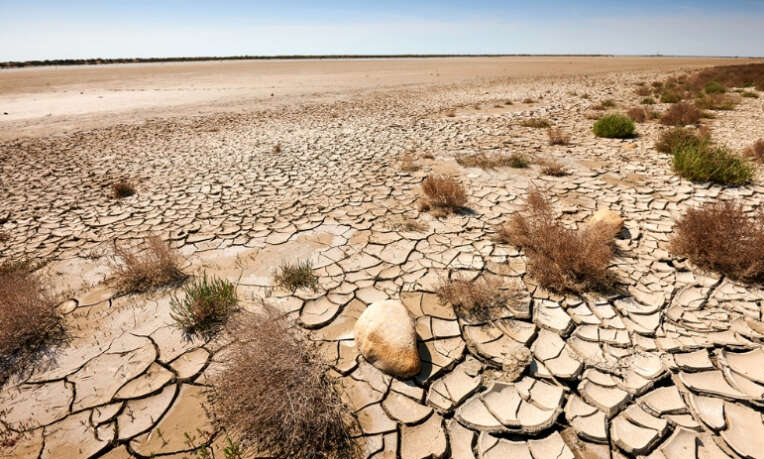 Desertificação da Caatinga é preocupante 