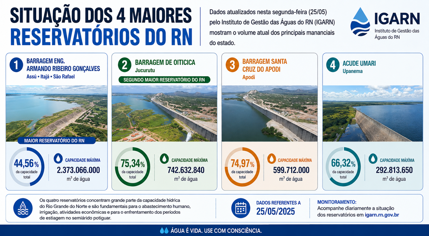 Infográfico criado por IA