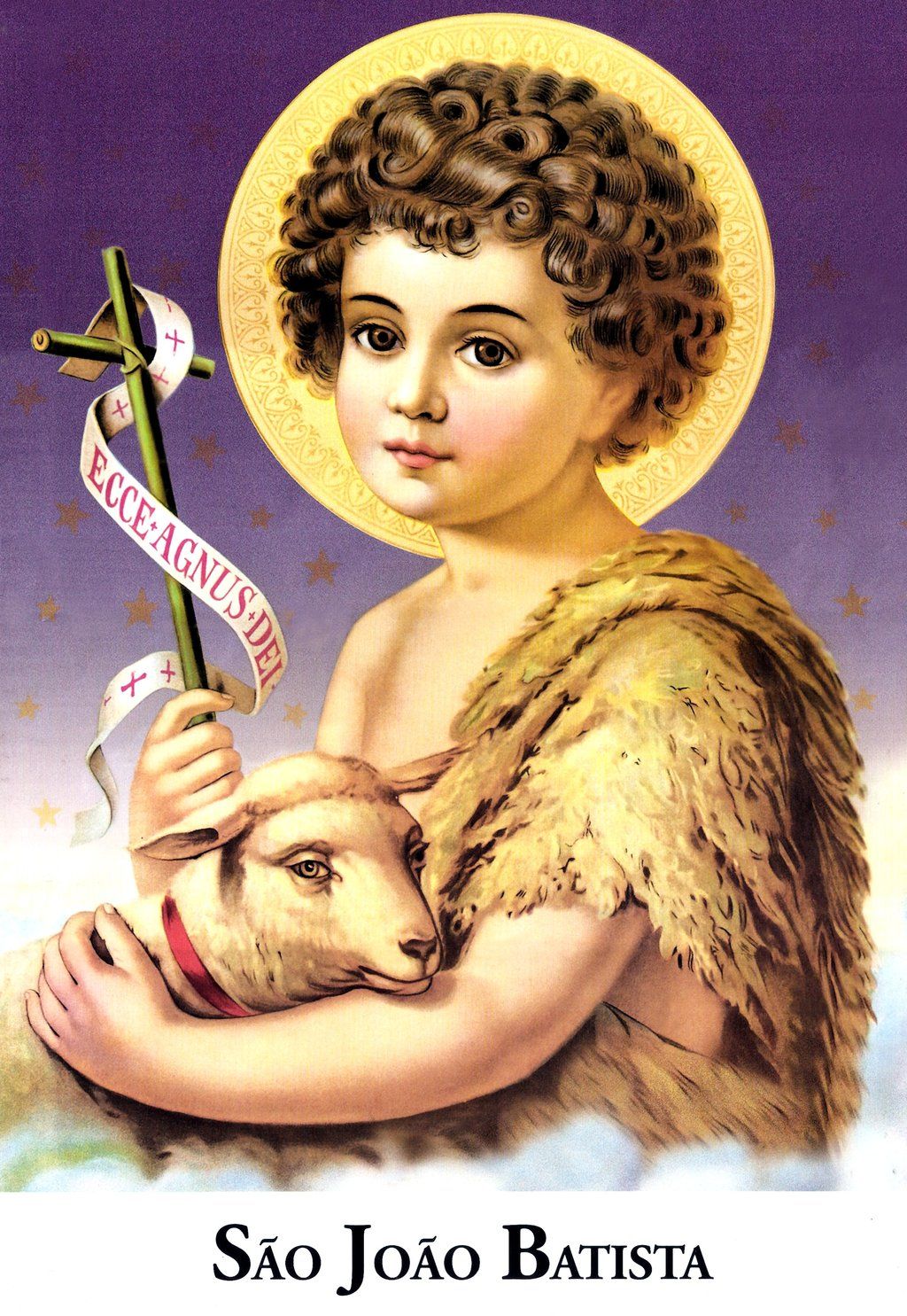 São João Batista: o precursor de Jesus - Paróquia Santa Teresinha