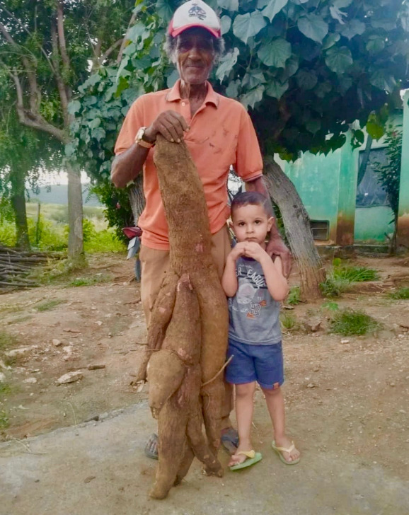 Embora casos como o registrado em Doutor Severiano não sejam frequentes, eles demonstram o potencial produtivo das lavouras da região e reforçam a importância da agricultura familiar para a economia local.