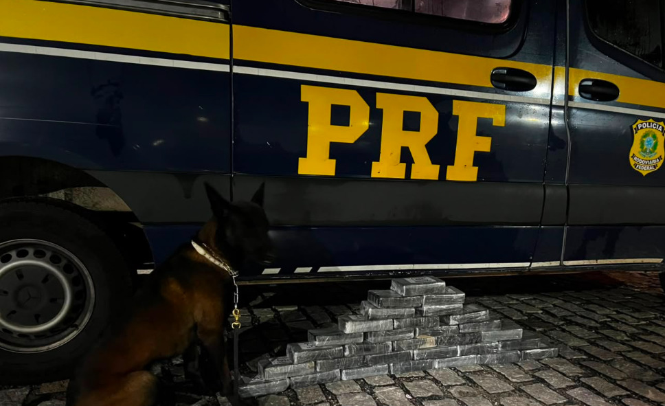 As drogas, o dinheiro apreendido e os demais materiais recolhidos também foram entregues à Polícia Civil e à Polícia Federal, que darão continuidade às investigações.