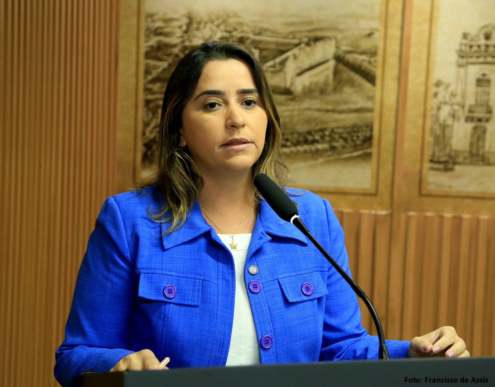 De autoria da vereadora Samanda Alves, program prevê capacitação de educadores, orientação a pais e a criação da Jornada de Educação Digital Segura. Foto: Divulgação