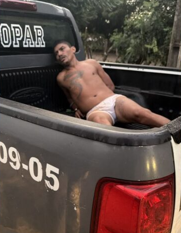 Divulgação