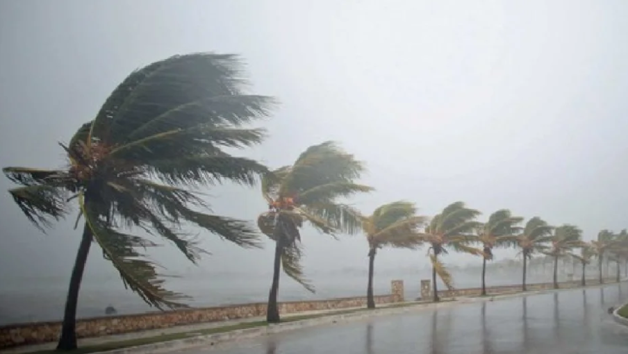 Ventania no litoral.