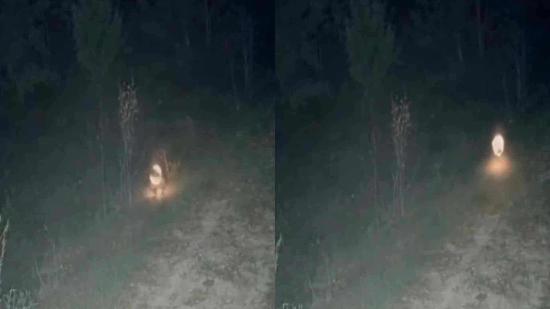 Reprodução/MídiaMax