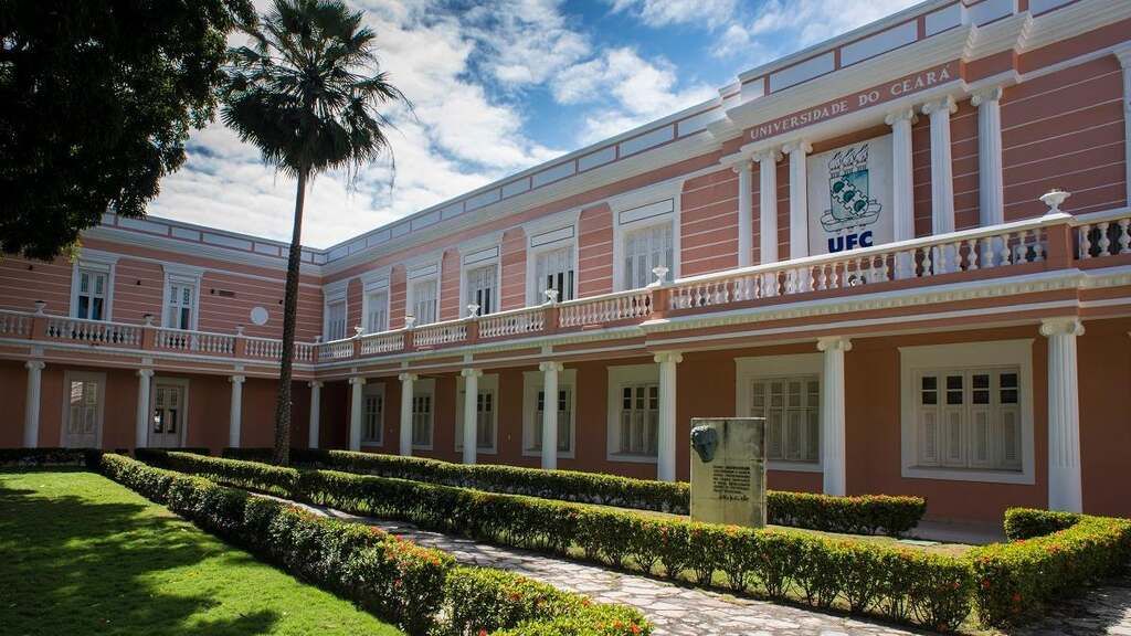 Divulgação/UFC