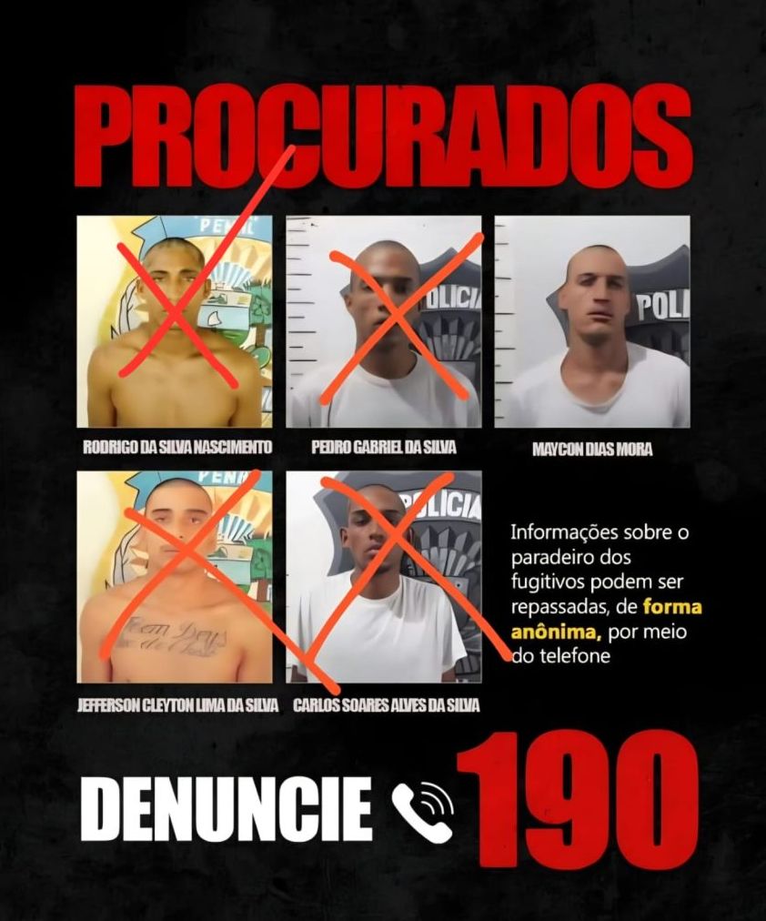 Divulgação