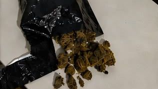 Apreensão de pacotes de Maconha Flor pela PMRN