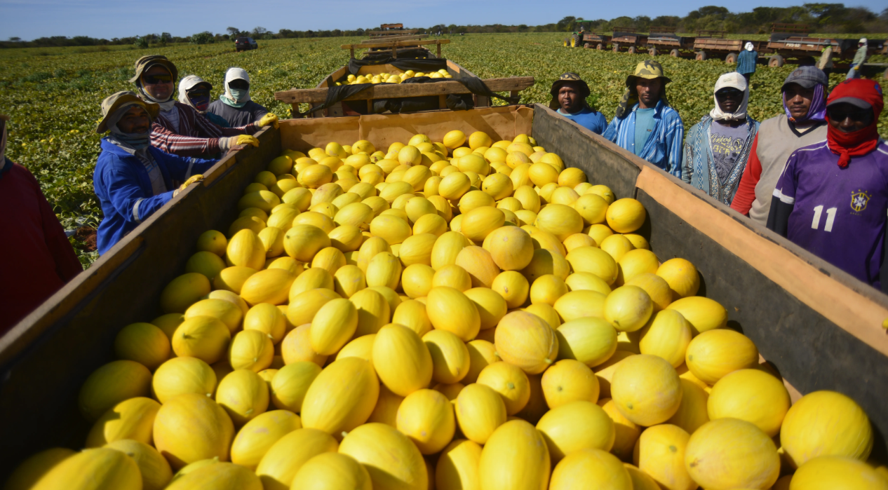 Foto: Reprodução/Abrafrutas