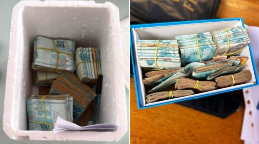 Dinheiro em espécie apreendido pela Polícia Federal estava escondido em caixas de isopor na casa de sócios de empresa investigada por desvios na área da saúde no RN Foto: PRF/Divulgação