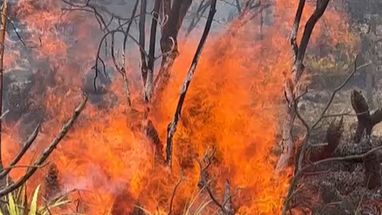 Incêndio atinge santuário de turismo religioso no RN