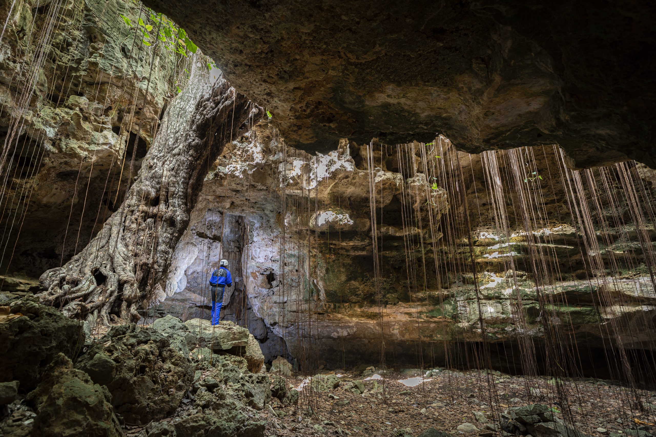 Entre os destaques está o Parque Nacional da Furna Feia, que reúne cavernas e vegetação característica da Caatinga.