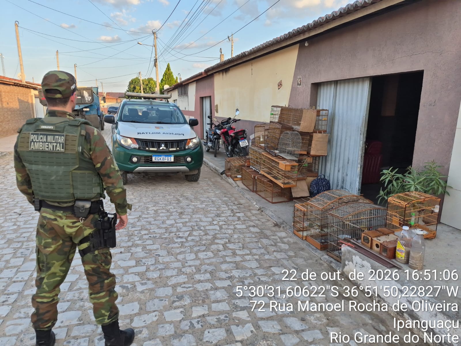 Polícia desmonta cativeiro de aves silvestres comercializadas ilegalmente no RN